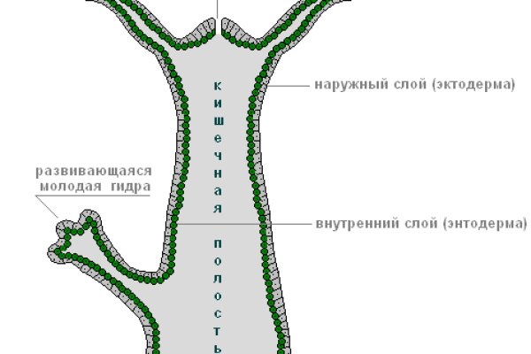 Как отличить оригинальный сайт кракена