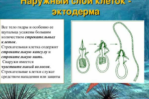 Kraken зеркало официальный